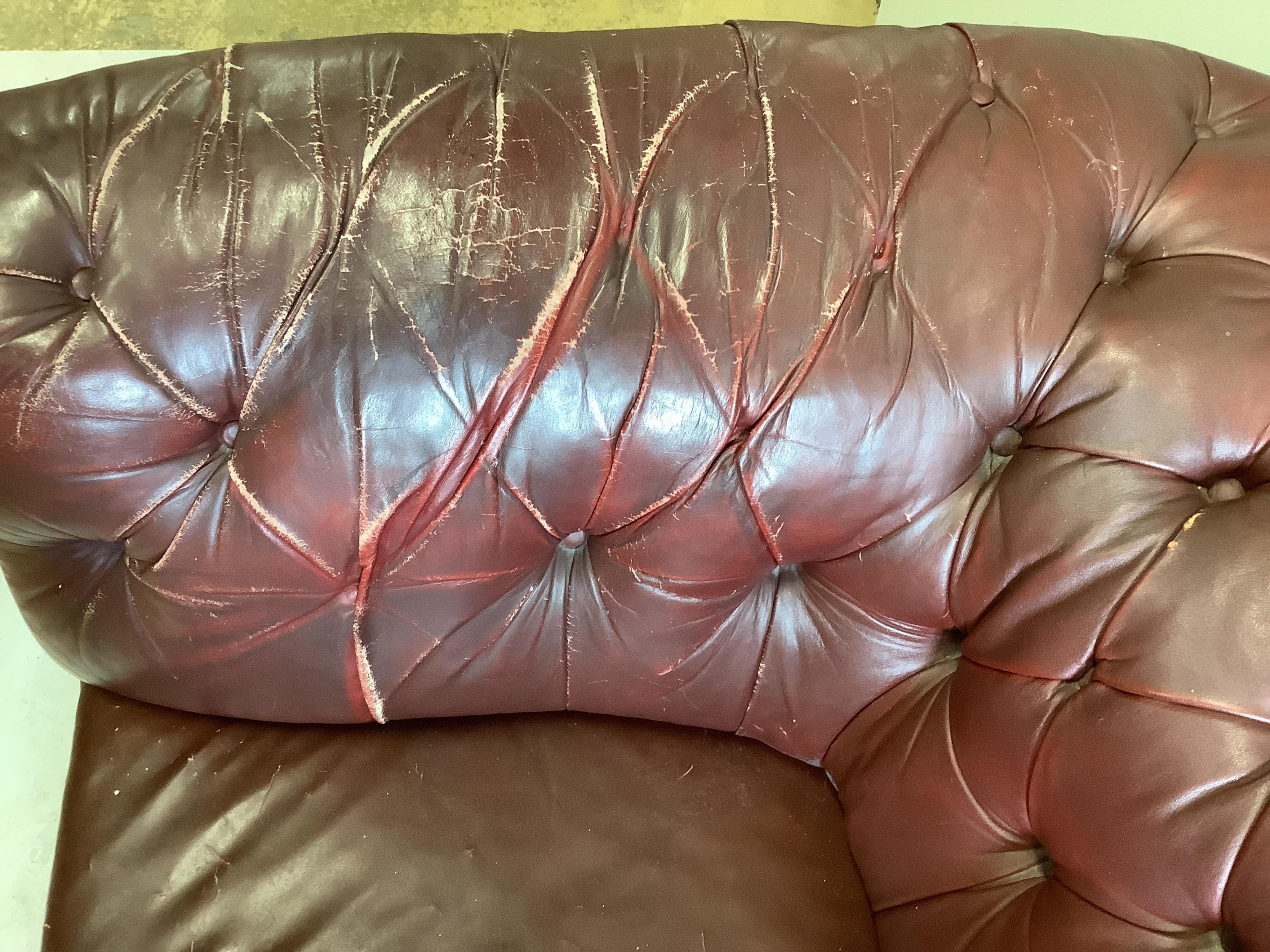 An early 20th century buttoned burgundy leather Chesterfield settee, width 165cm, depth 84cm, height 85cm. Condition - poor